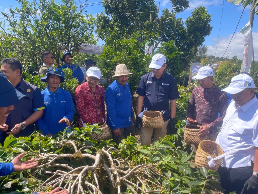 Panen raya kopi arabika kintamani catrawarta Panen raya kopi arabika kintamani digelar selasa 962026 di desa awan kintamani bali dok made sarjana